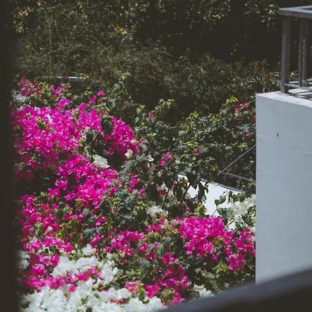 Garden House *
